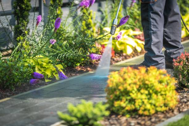 Professional Pressure Washing Services in Lake Kerr, FL